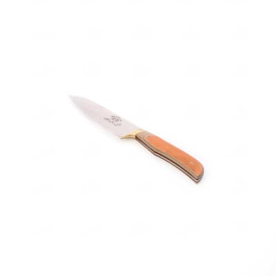 چاقو‎ ‎‎‎‎آشپزخانه‎ ‎‎کوچک‎ ‎‎دسته چوبی‎ ‎‎‎‎‎‎